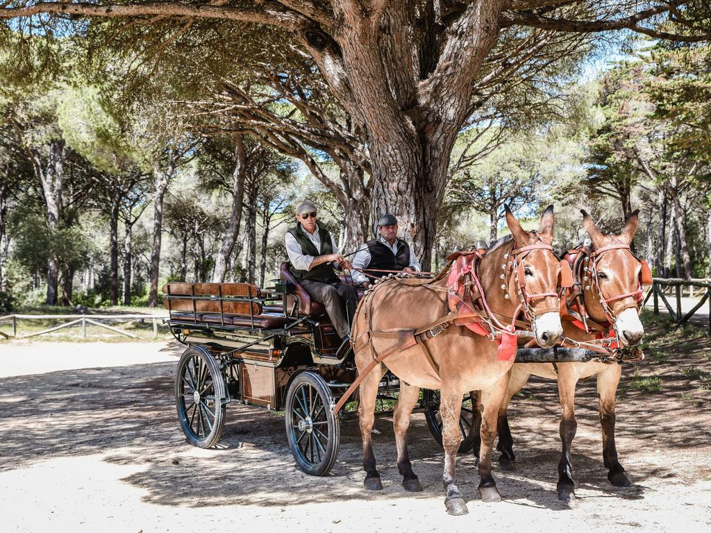 הוילה לוס קניוס דה מקה Casa Rural Aldea Chica מראה חיצוני תמונה