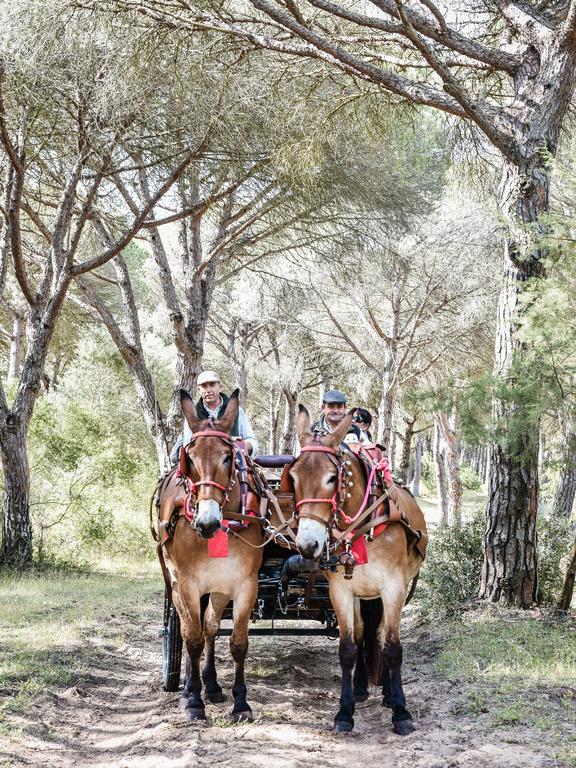 הוילה לוס קניוס דה מקה Casa Rural Aldea Chica מראה חיצוני תמונה